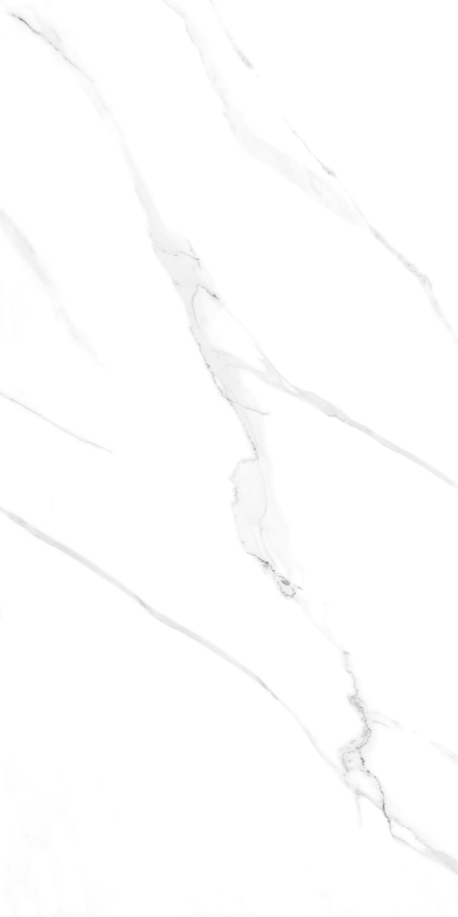 Porcelain Tile 60x120 NEO STATUARIO ( MATT)